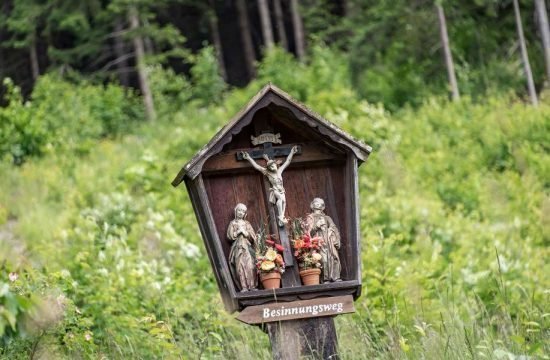 AlpenChalet Niederkofler in St.Johann / Ahrntal - Südtirol