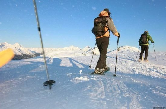 AlpenChalet Niederkofler in St.Johann / Ahrntal - Südtirol