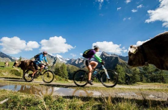 Sommerurlaub Ahrntal Südtirol